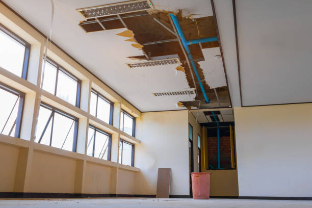Carpet water damage restoration in Soddy Daisy, TN
