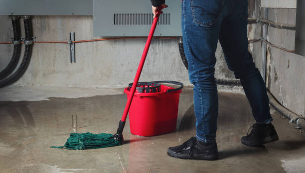 Water damage restoration insurance claims in Soddy Daisy, TN