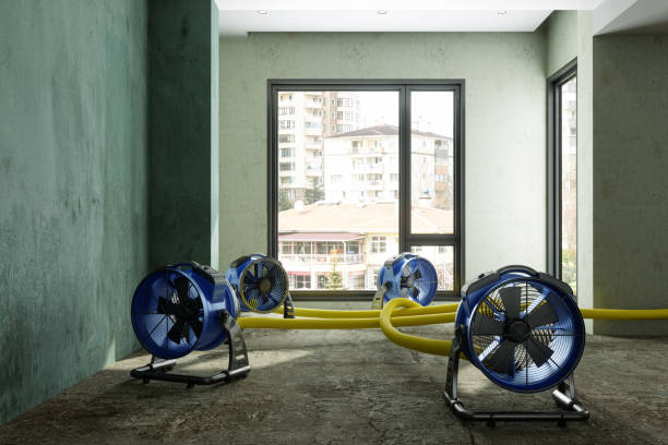 Best Water damage contractors near me  in Soddy Daisy, TN